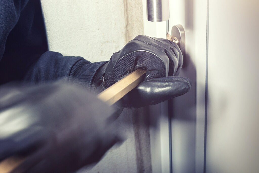 Which Alarm device could stop this thief from invading your home?